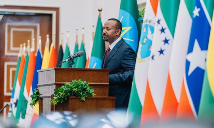 Ethiopia urges international community to condemn Eritrea’s alleged aggression
