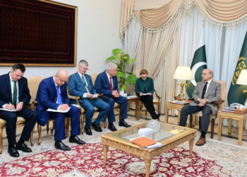 PM Shehbaz, Russian interior minister discuss expanding bilateral cooperation