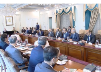 Shehbaz Sharif invites international expertise to accelerate economic reforms