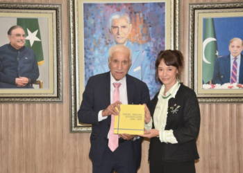Pakistan, Sweden explore new avenues for investment cooperation