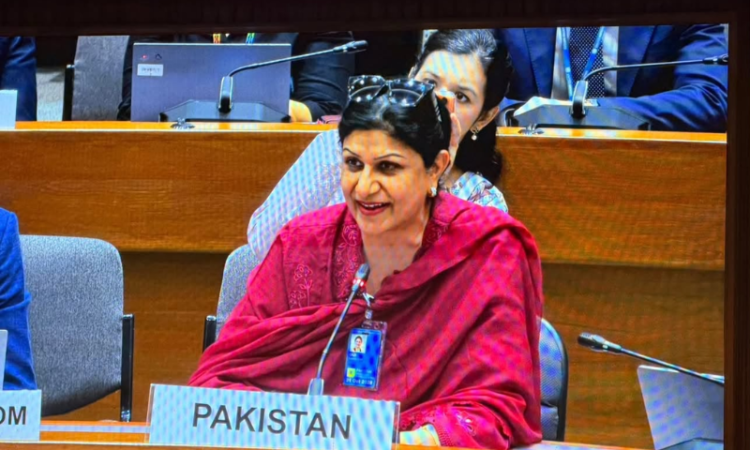 Pakistan reaffirms commitment to multilateralism, international cooperation and sustainable development