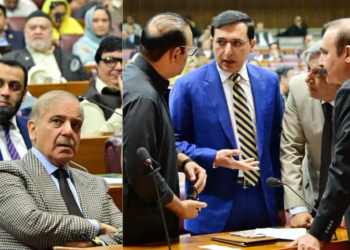 Senate, National Assembly endorse emergency in KP amid heated debate