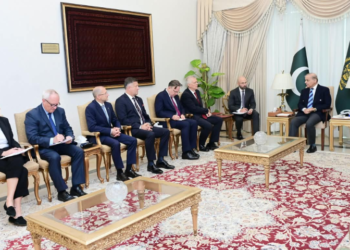 PM Shehbaz, Polish minister discuss expanding bilateral ties