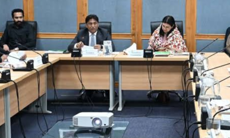 Senate committee seeks mechanism for provincial shares in federal jobs, oil and gas resources
