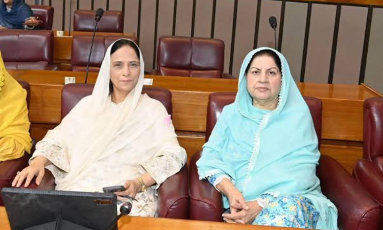 Shahida Rehmani moves NA resolution against workplace harassment, gender discrimination
